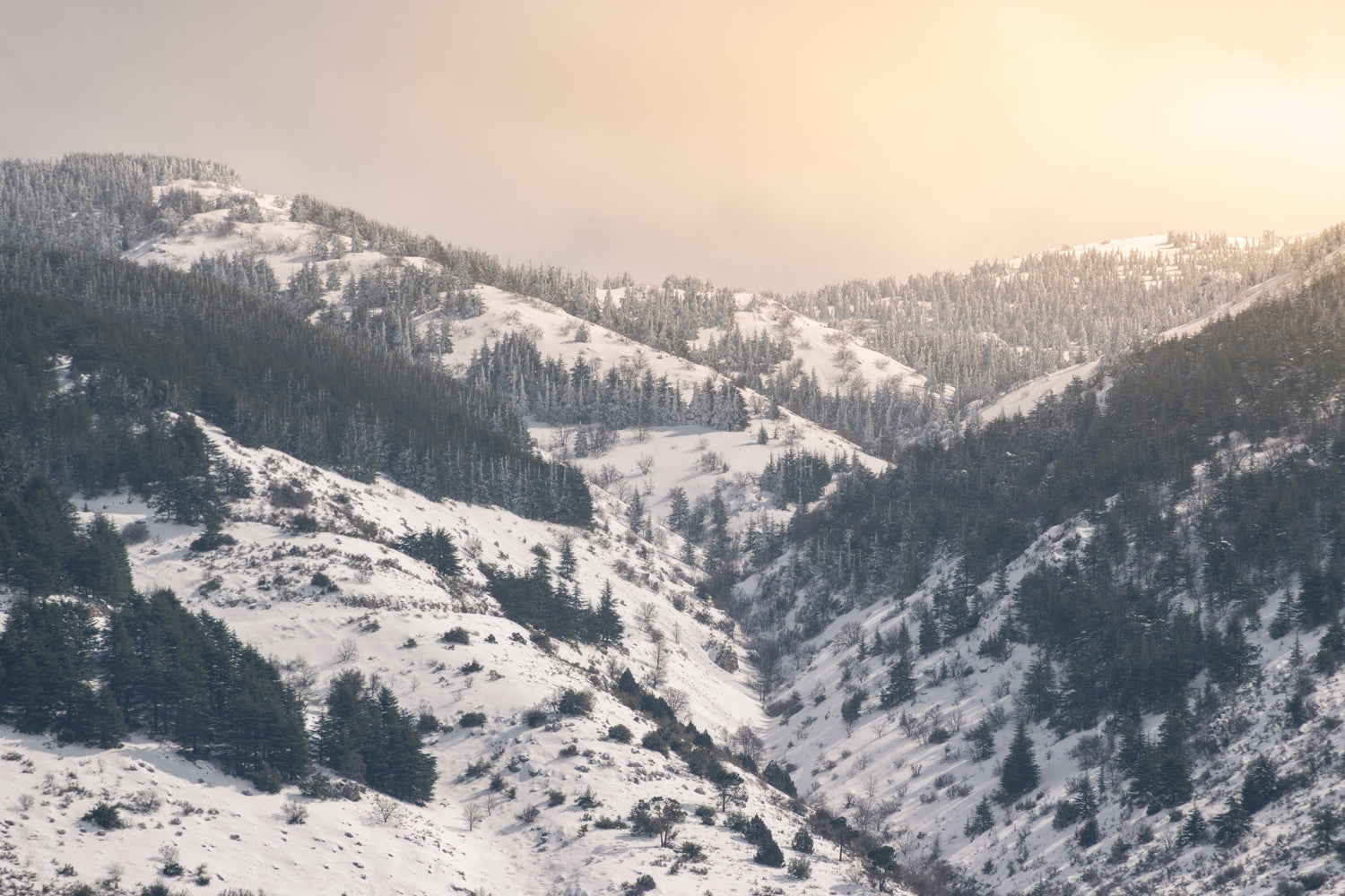 Chouf, Lebanon, Winter, Snow, Skiing, Mountain Views, Hiking Trails, Nature Walks, Outdoor Activities, Scenic Routes, Landscape Photography, Adventure, Heritage, Culture, Tourism, Travel.