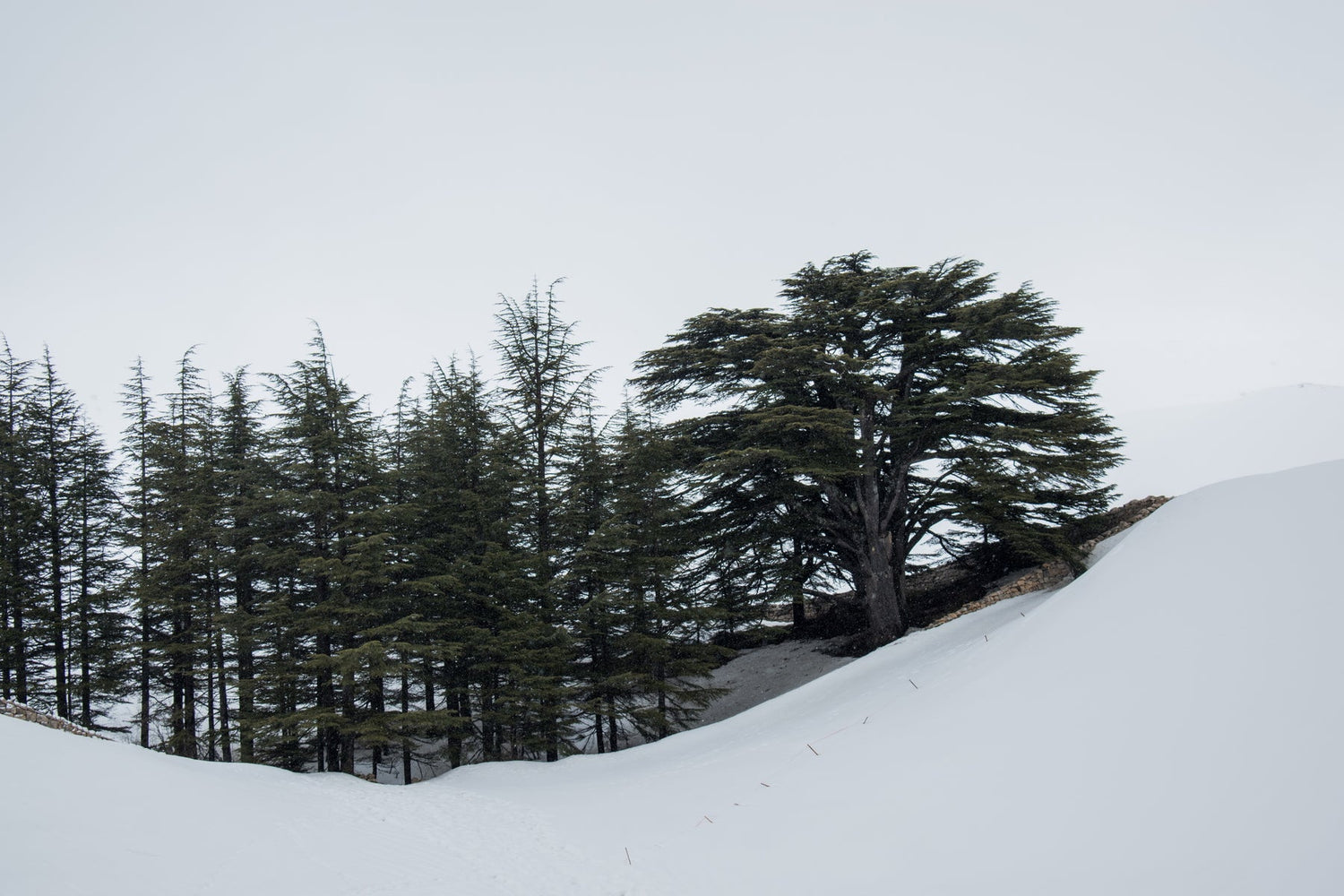 Arez Mountains, Lebanon, Skiing, Snowboarding, Snow Trekking, Winter Sports, Lebanese Hospitality, Lebanese Cuisine, Outdoor Adventure, Landscape Photography, Snowy Scenes.