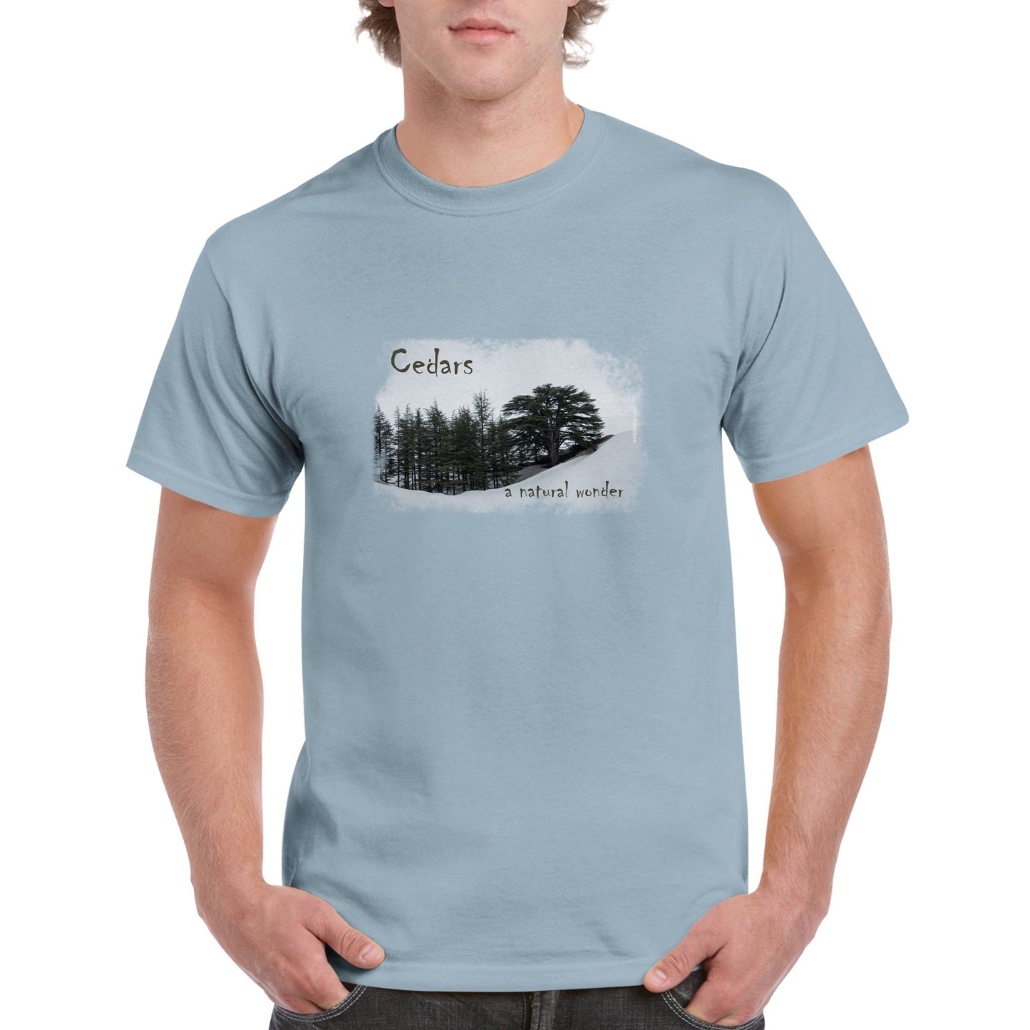 Cedars-Lebanon Unisex Premium T-shirt