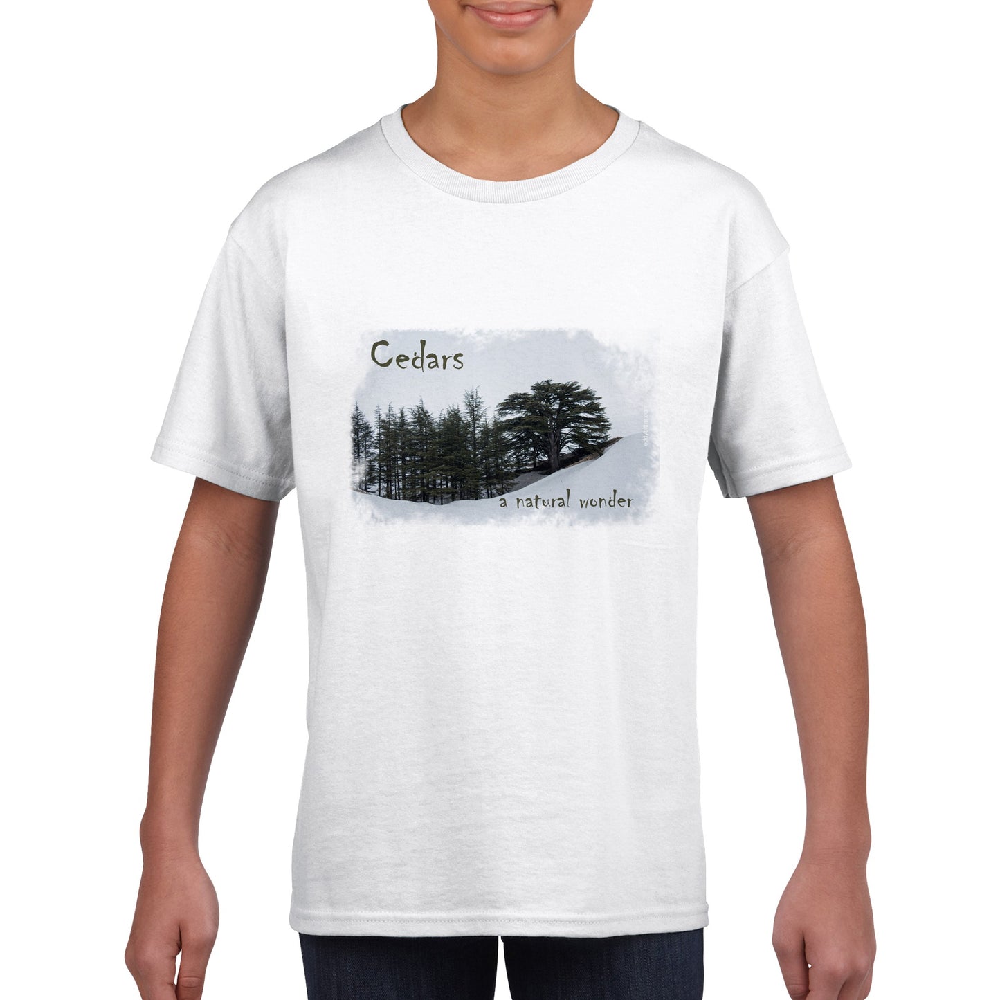 Cedars-LebanonClassic Kids Crewneck T-shirt