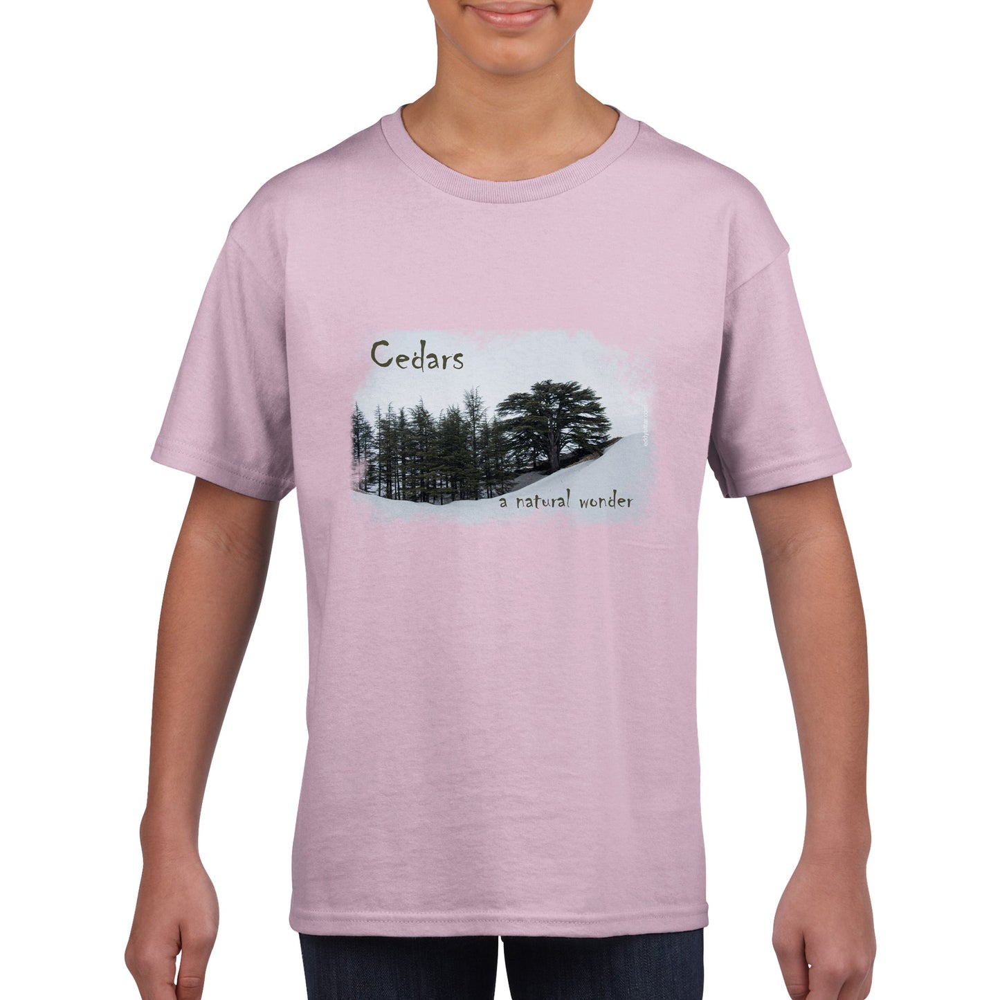 Cedars-LebanonClassic Kids Crewneck T-shirt