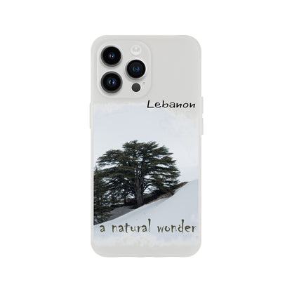 Cedars- Lebanon Flexi Case