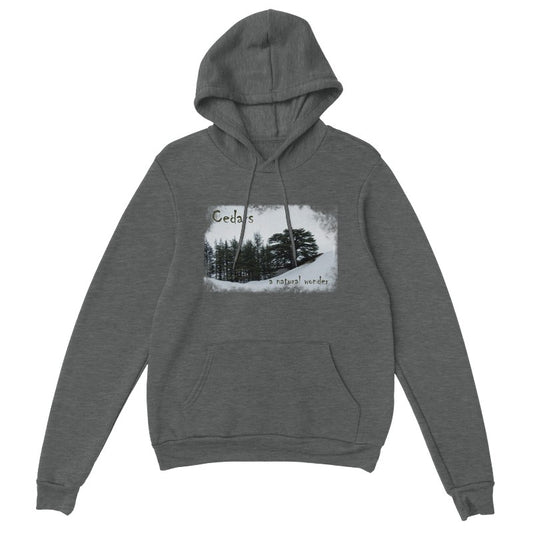 Cedars Lebanon Unisex Premium Hoodie