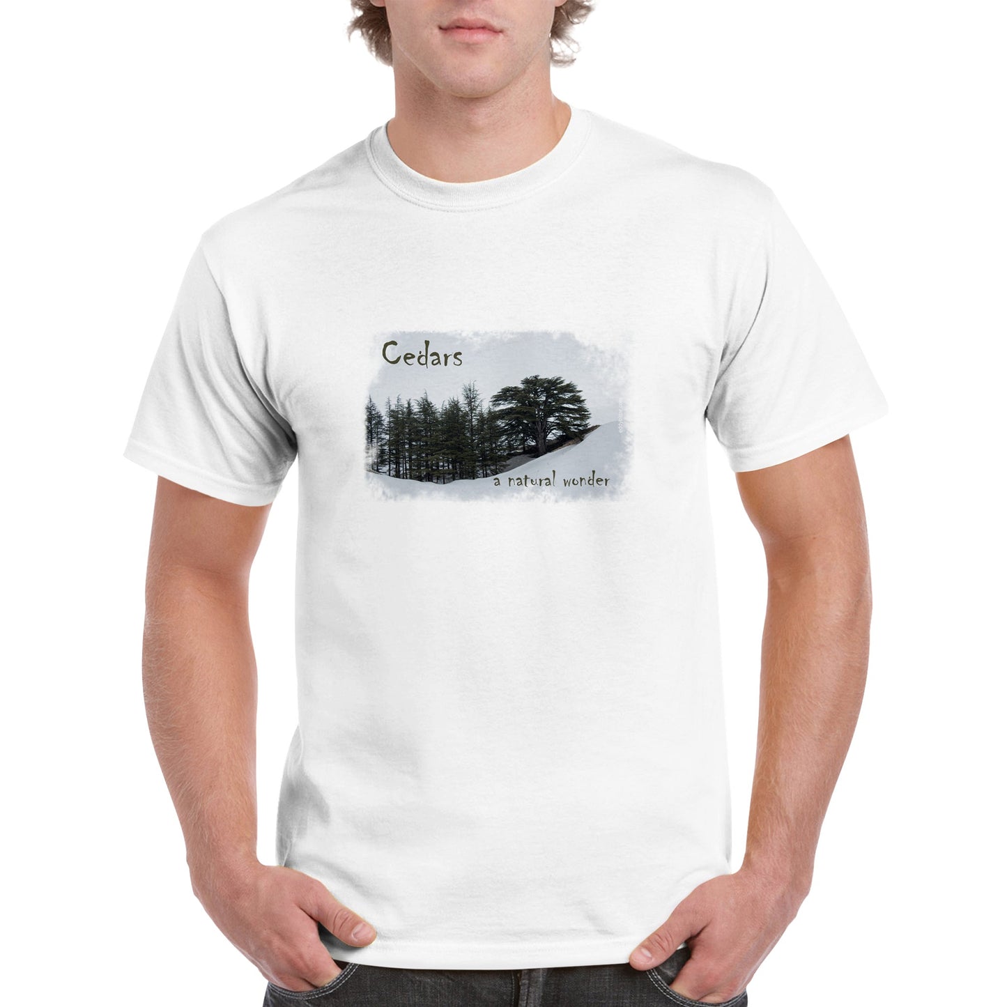 Cedars-Lebanon Unisex Premium T-shirt