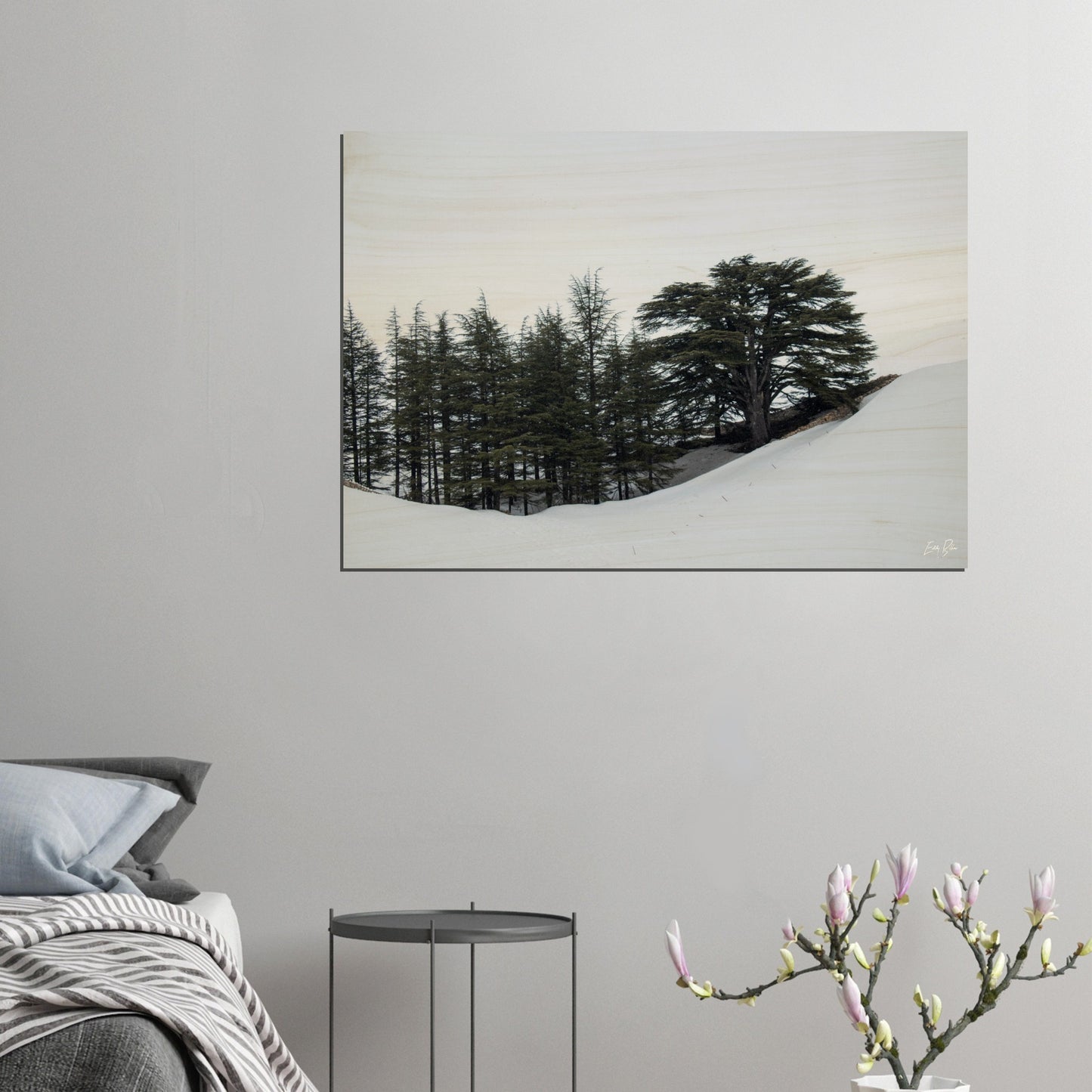 Cedars-Lebanon-Wood Prints