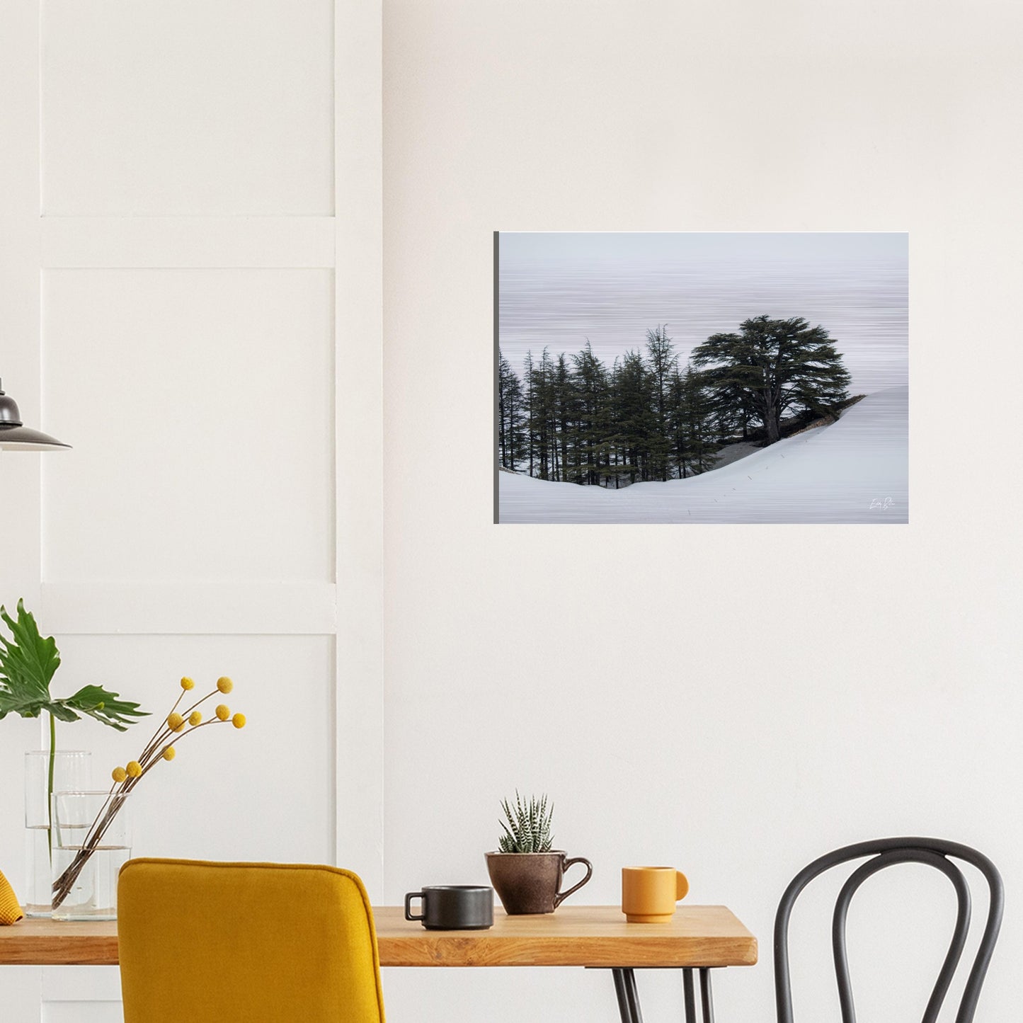 Cedars-Lebanon-Brushed Aluminum Print