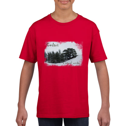 Cedars-LebanonClassic Kids Crewneck T-shirt