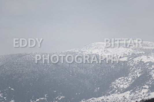 Beautiful day for photography in Chouf in the winter with snow.