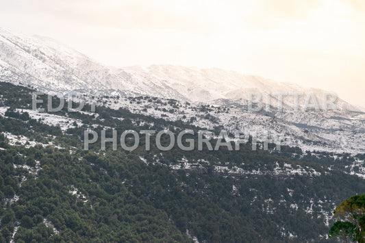 Beautiful day for photography in Chouf in the winter with snow.