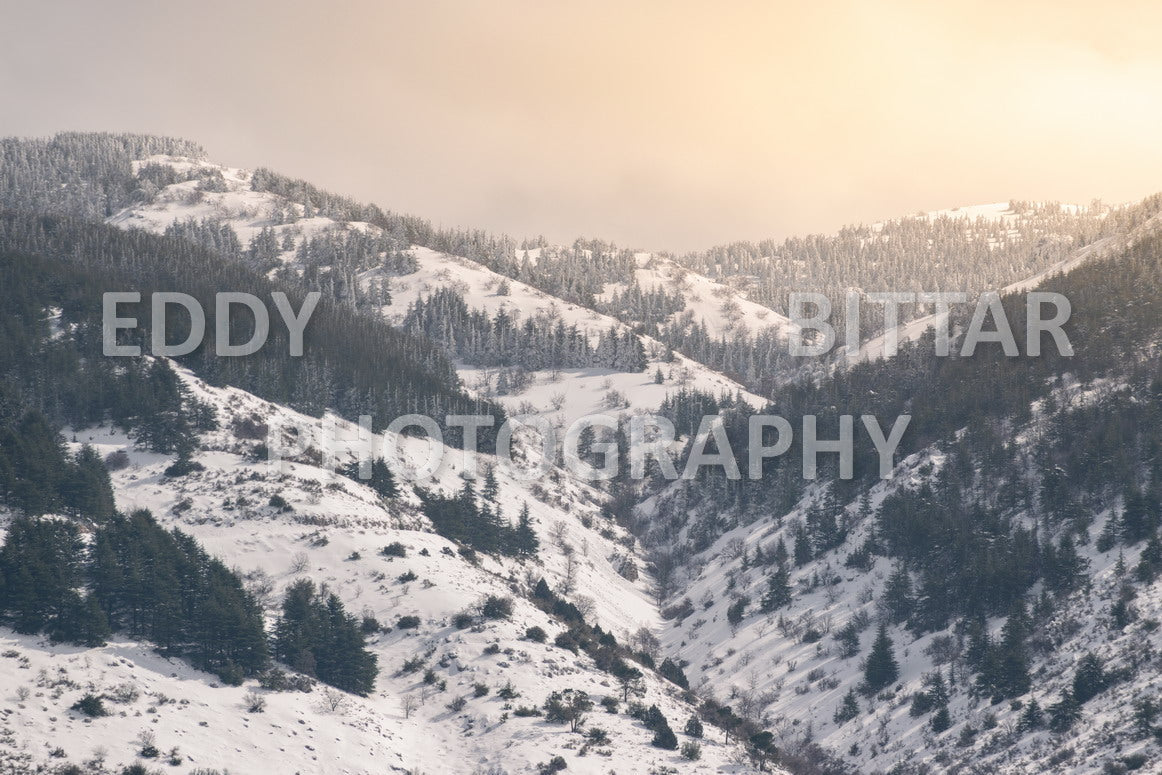 Beautiful day for photography in Chouf in the winter with snow.