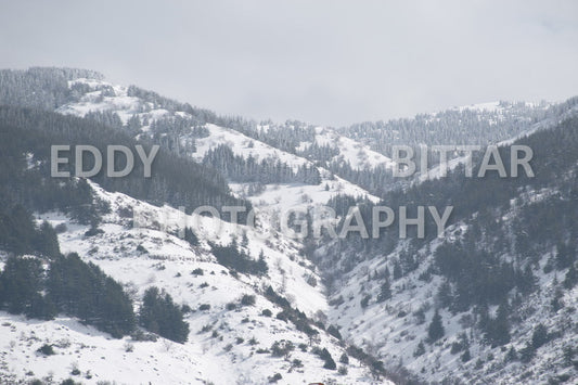 Beautiful day for photography in Chouf in the winter with snow.