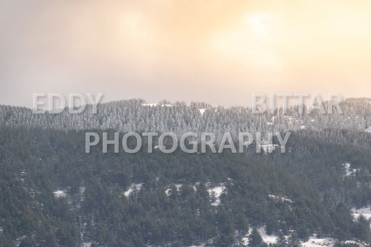 Beautiful day for photography in Chouf in the winter with snow.