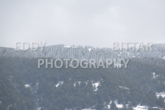 Beautiful day for photography in Chouf in the winter with snow.