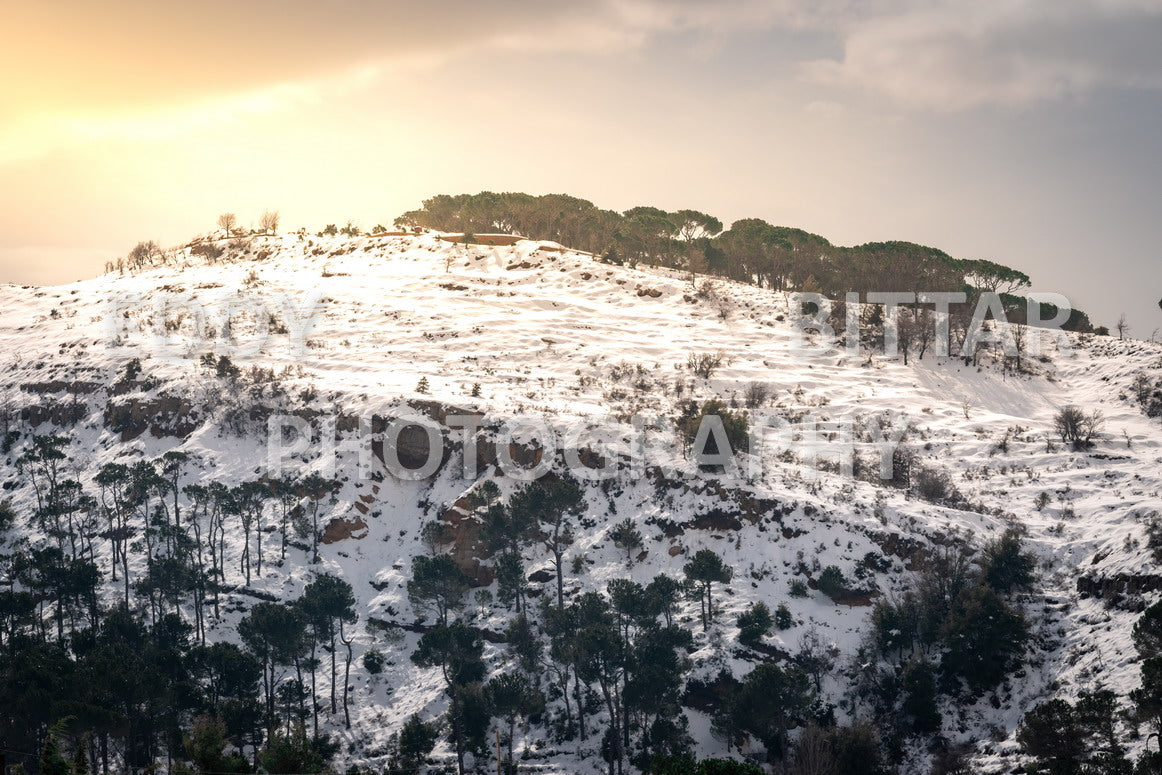 Beautiful day for photography in Chouf in the winter with snow.