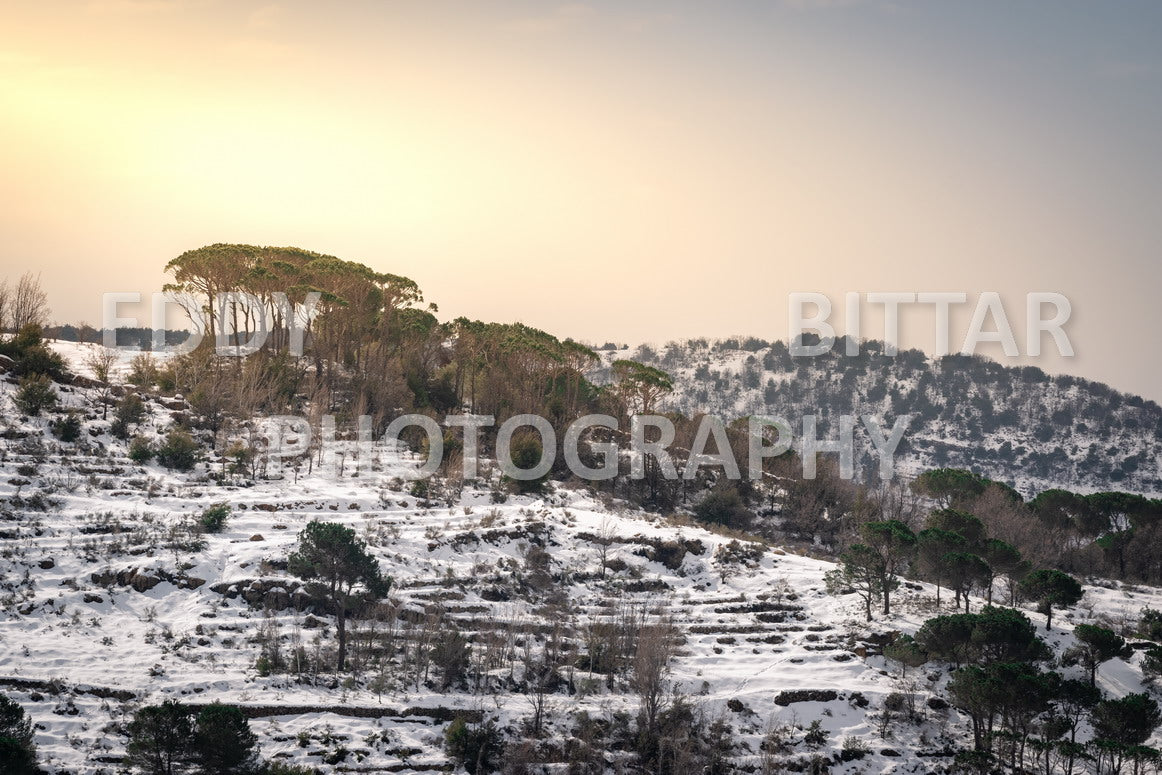 Beautiful day for photography in Chouf in the winter with snow.