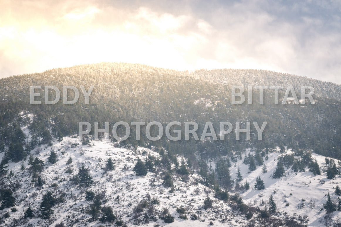 Beautiful day for photography in Chouf in the winter with snow.