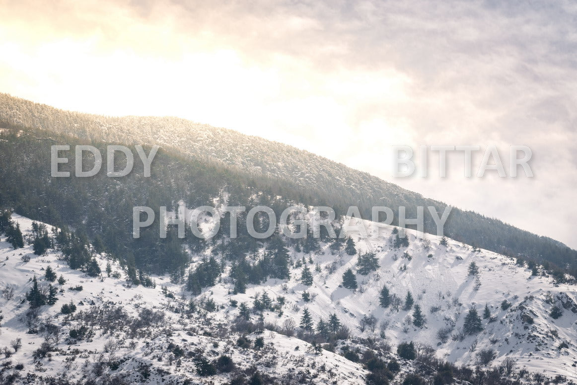 Beautiful day for photography in Chouf in the winter with snow.