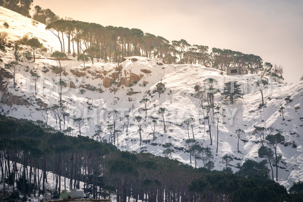 Beautiful day for photography in Chouf in the winter with snow.