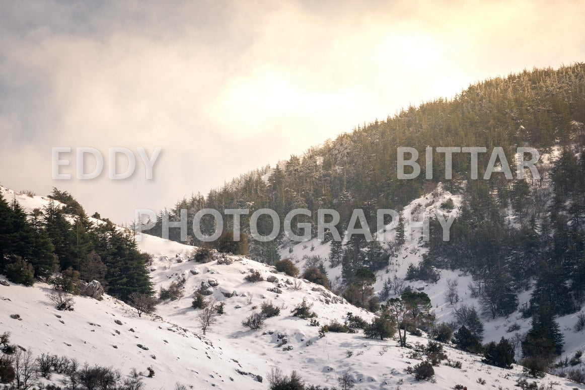 Beautiful day for photography in Chouf in the winter with snow.