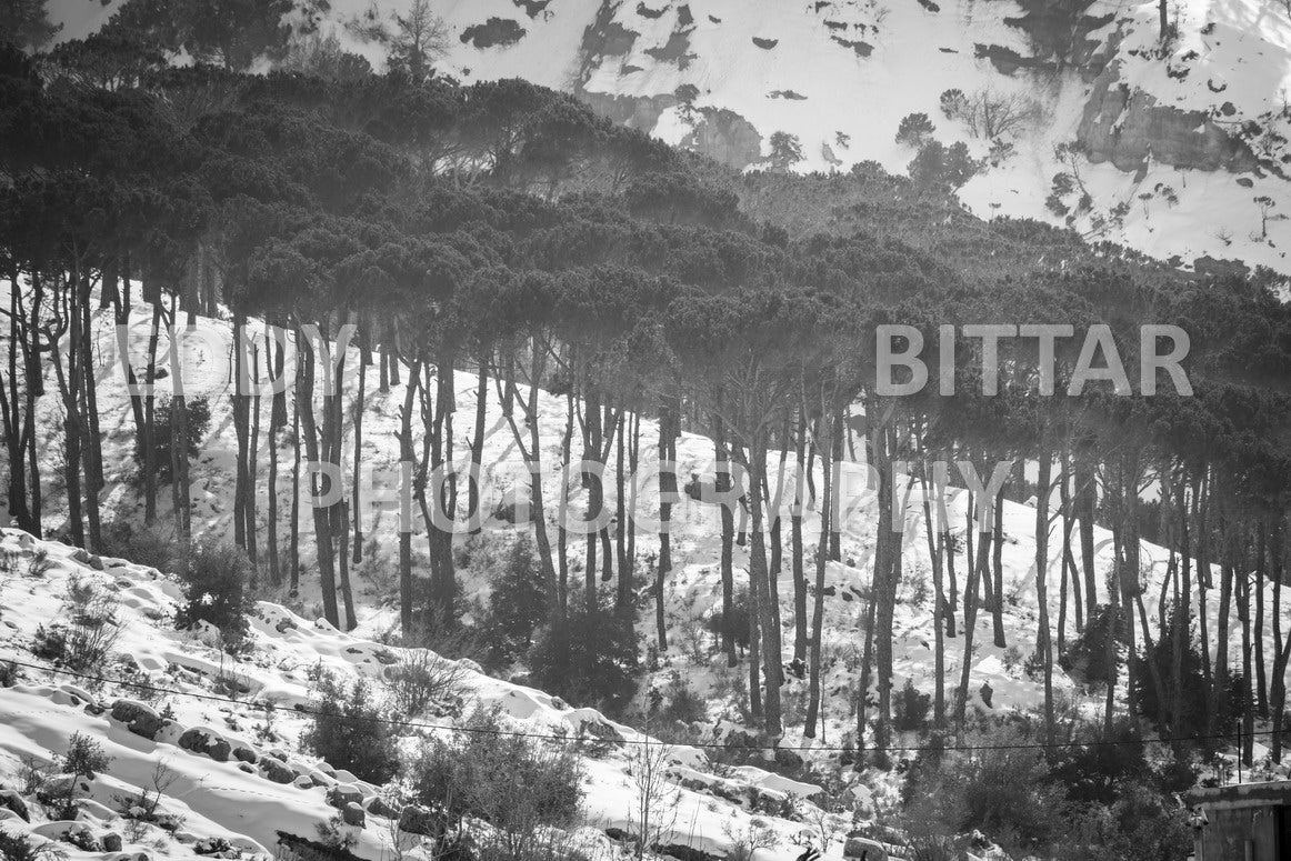 Beautiful day for photography in Chouf in the winter with snow.