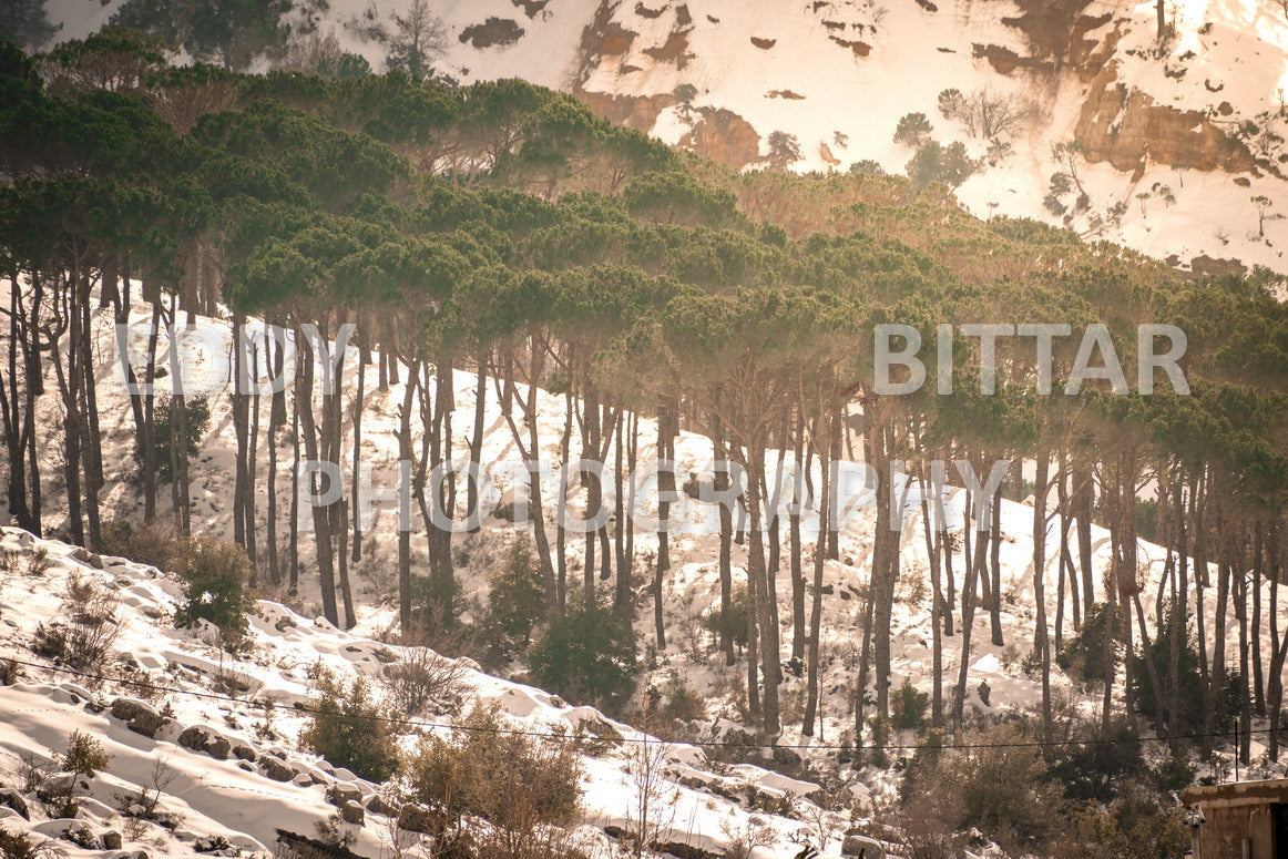 Beautiful day for photography in Chouf in the winter with snow.