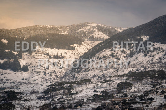 Beautiful day for photography in Chouf in the winter with snow.