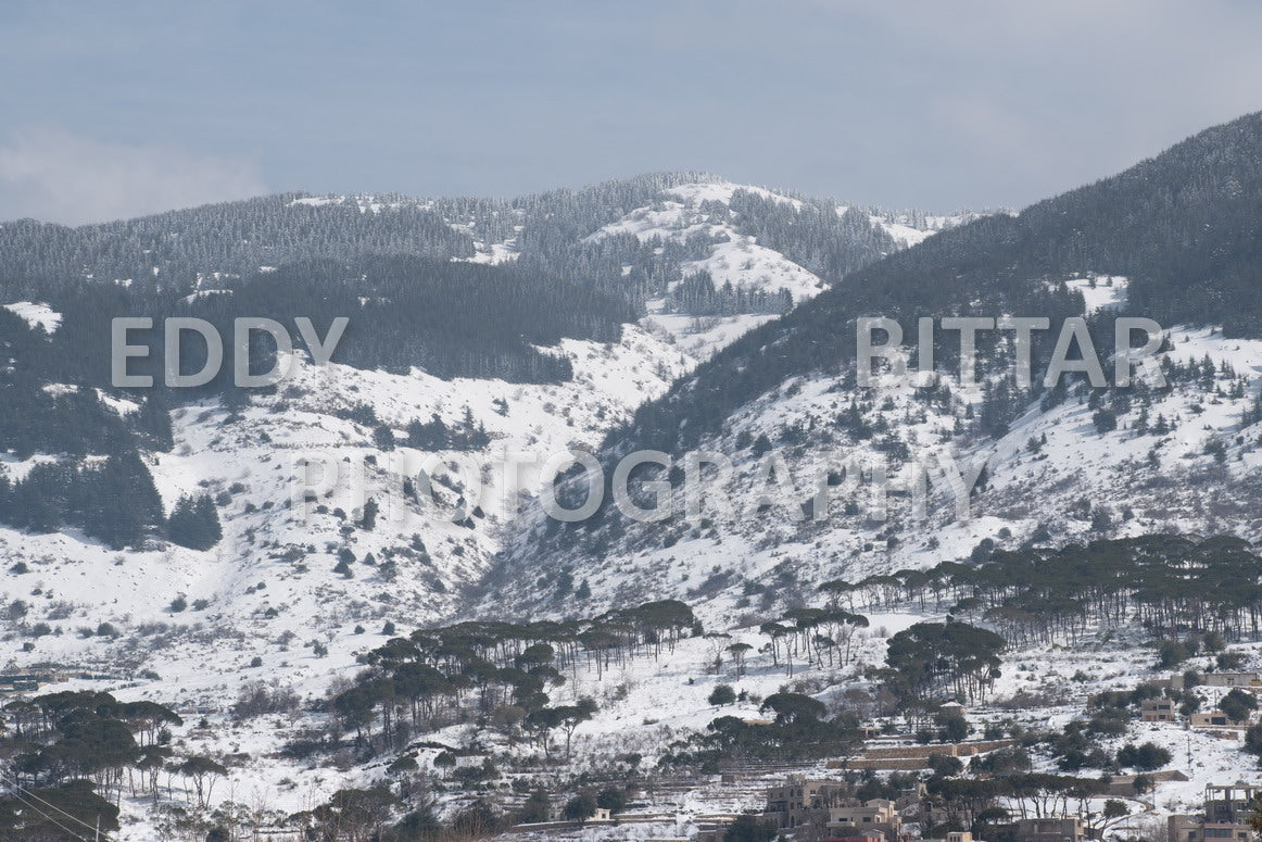 Beautiful day for photography in Chouf in the winter with snow.