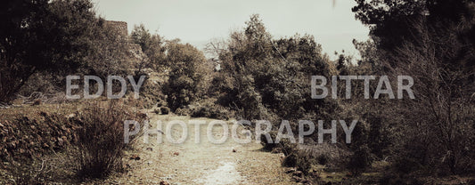 A collection of colorful and vibrant images that showcase the natural beauty of Broumana, Lebanon, including its scenic views, mountain landscapes, and lush greenery.