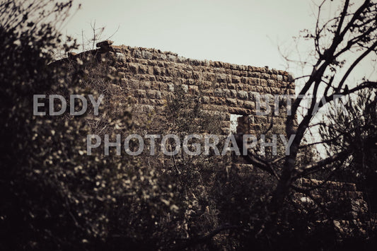 A collection of colorful and vibrant images that showcase the natural beauty of Broumana, Lebanon, including its scenic views, mountain landscapes, and lush greenery.