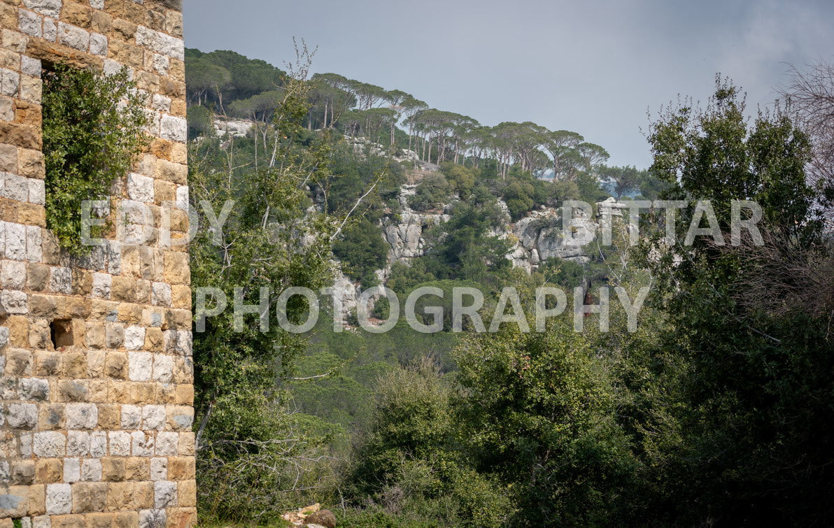 A collection of colorful and vibrant images that showcase the natural beauty of Broumana, Lebanon, including its scenic views, mountain landscapes, and lush greenery.