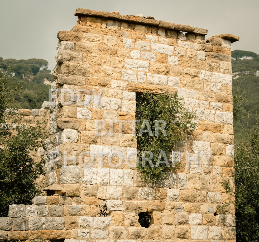 A collection of colorful and vibrant images that showcase the natural beauty of Broumana, Lebanon, including its scenic views, mountain landscapes, and lush greenery.