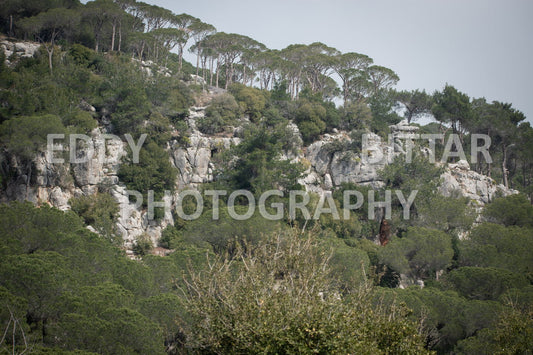 A collection of colorful and vibrant images that showcase the natural beauty of Broumana, Lebanon, including its scenic views, mountain landscapes, and lush greenery.