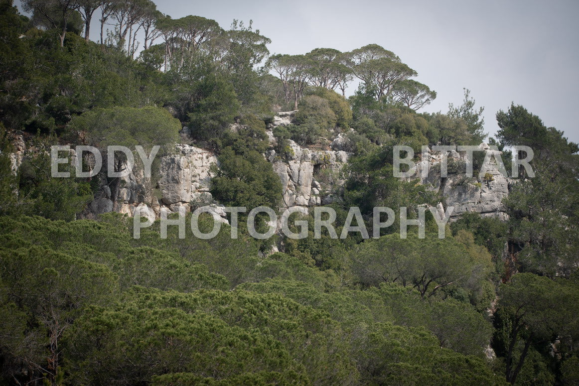 A collection of colorful and vibrant images that showcase the natural beauty of Broumana, Lebanon, including its scenic views, mountain landscapes, and lush greenery.