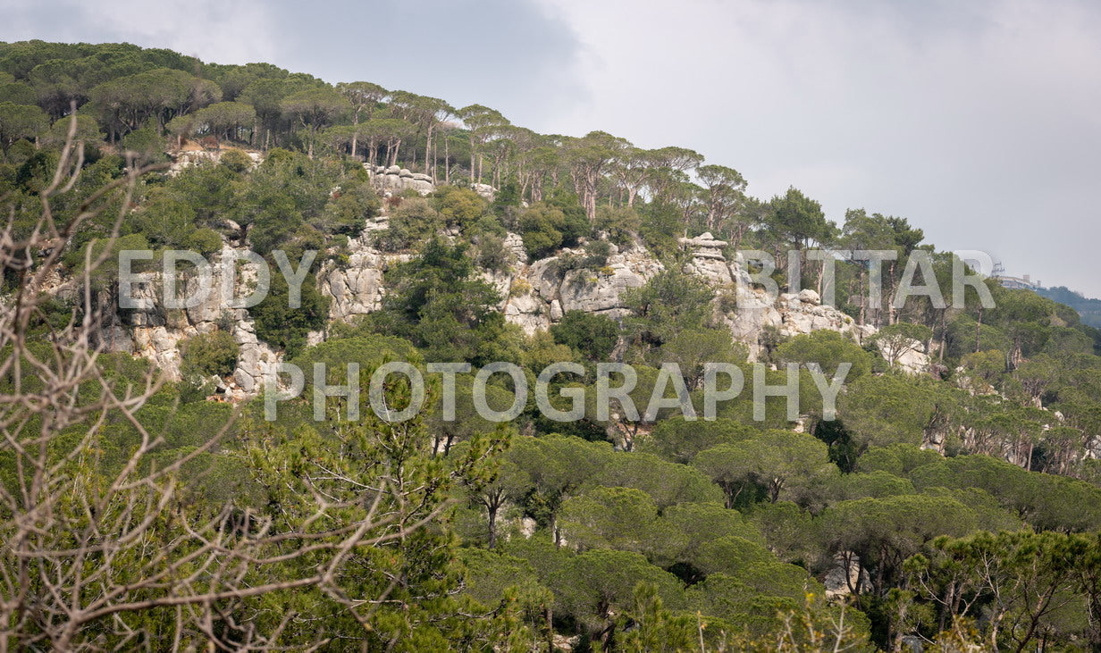 A collection of colorful and vibrant images that showcase the natural beauty of Broumana, Lebanon, including its scenic views, mountain landscapes, and lush greenery.