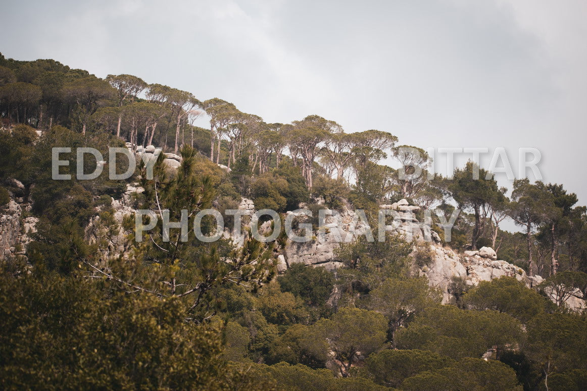 A collection of colorful and vibrant images that showcase the natural beauty of Broumana, Lebanon, including its scenic views, mountain landscapes, and lush greenery.