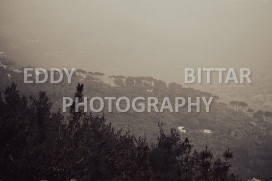 A collection of colorful and vibrant images that showcase the natural beauty of Broumana, Lebanon, including its scenic views, mountain landscapes, and lush greenery.