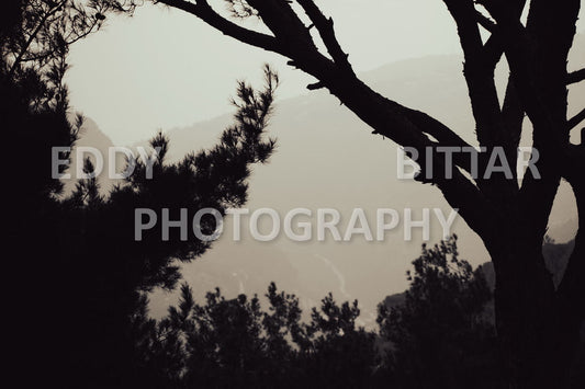 A collection of colorful and vibrant images that showcase the natural beauty of Broumana, Lebanon, including its scenic views, mountain landscapes, and lush greenery.