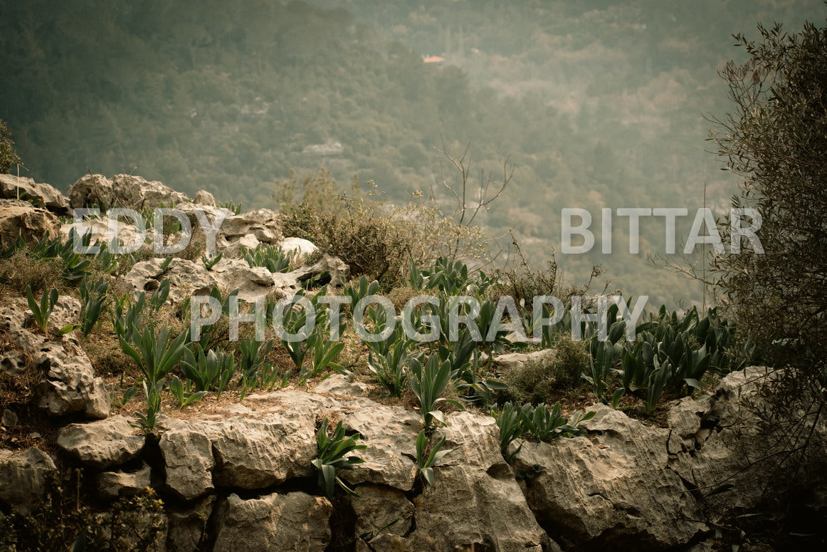 A collection of colorful and vibrant images that showcase the natural beauty of Broumana, Lebanon, including its scenic views, mountain landscapes, and lush greenery.