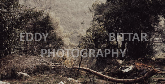 A collection of colorful and vibrant images that showcase the natural beauty of Broumana, Lebanon, including its scenic views, mountain landscapes, and lush greenery.