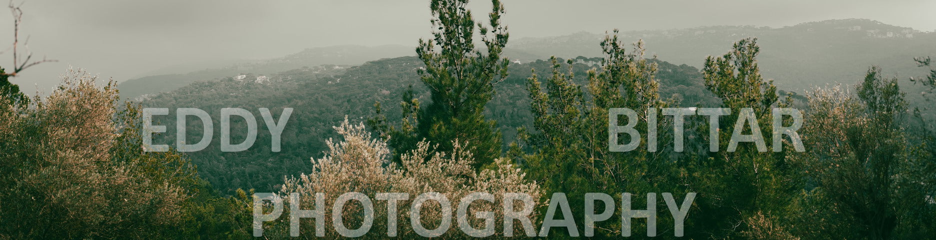 A collection of colorful and vibrant images that showcase the natural beauty of Broumana, Lebanon, including its scenic views, mountain landscapes, and lush greenery.