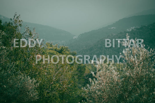 A collection of colorful and vibrant images that showcase the natural beauty of Broumana, Lebanon, including its scenic views, mountain landscapes, and lush greenery.