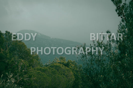 A collection of colorful and vibrant images that showcase the natural beauty of Broumana, Lebanon, including its scenic views, mountain landscapes, and lush greenery.