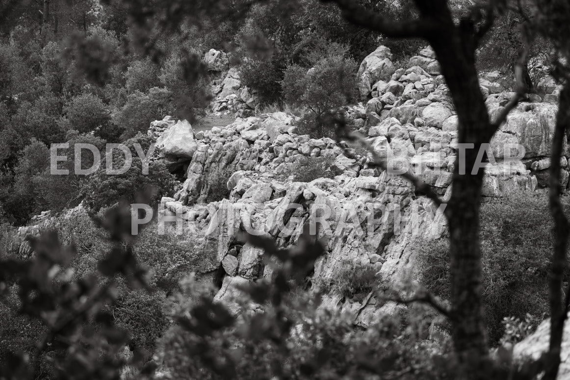 A collection of colorful and vibrant images that showcase the natural beauty of Broumana, Lebanon, including its scenic views, mountain landscapes, and lush greenery.