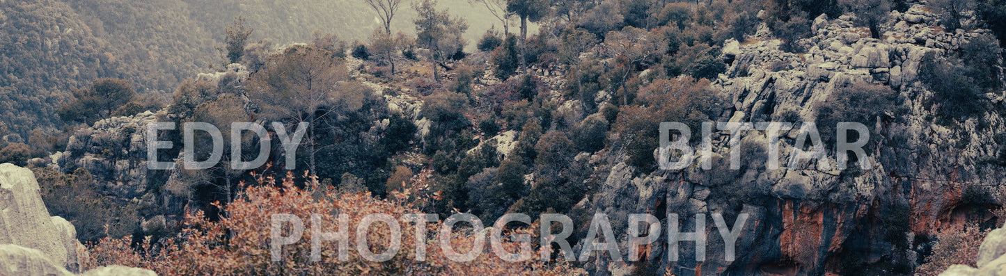 A collection of colorful and vibrant images that showcase the natural beauty of Broumana, Lebanon, including its scenic views, mountain landscapes, and lush greenery.