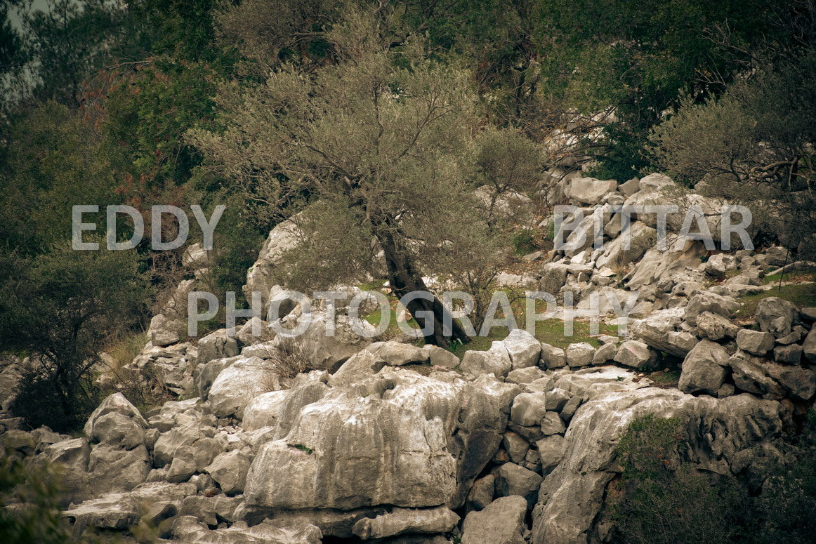 A collection of colorful and vibrant images that showcase the natural beauty of Broumana, Lebanon, including its scenic views, mountain landscapes, and lush greenery.