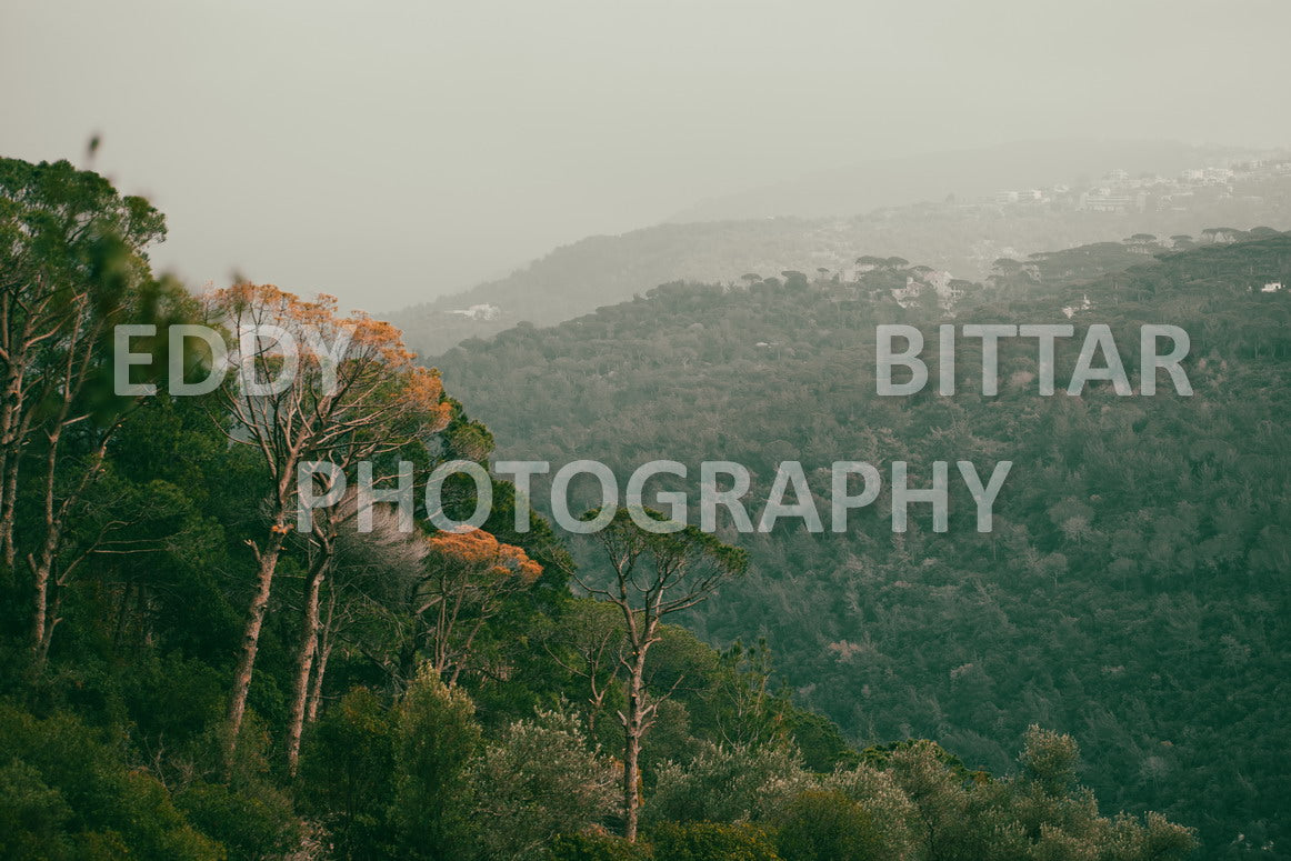 A collection of colorful and vibrant images that showcase the natural beauty of Broumana, Lebanon, including its scenic views, mountain landscapes, and lush greenery.