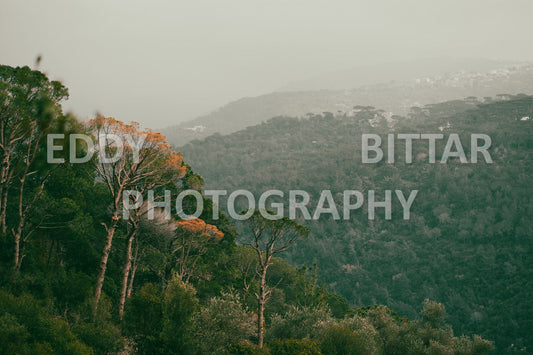 A collection of colorful and vibrant images that showcase the natural beauty of Broumana, Lebanon, including its scenic views, mountain landscapes, and lush greenery.