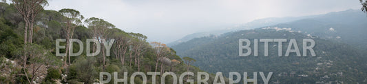 A collection of colorful and vibrant images that showcase the natural beauty of Broumana, Lebanon, including its scenic views, mountain landscapes, and lush greenery.