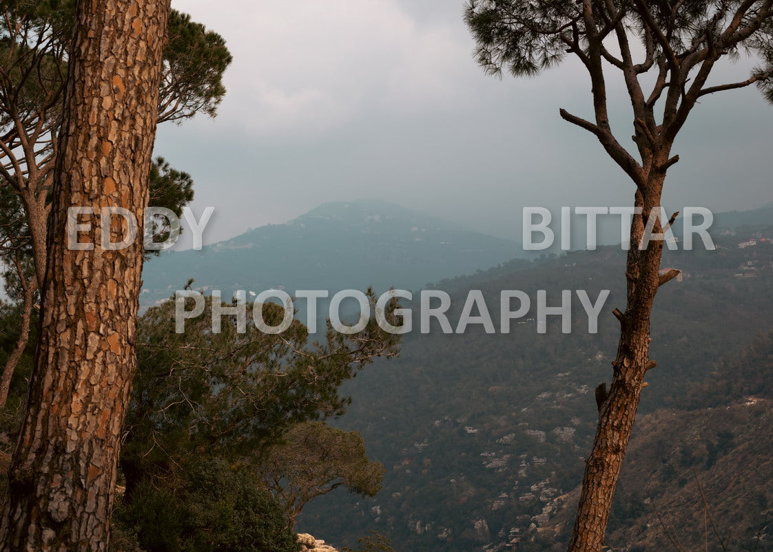 A collection of colorful and vibrant images that showcase the natural beauty of Broumana, Lebanon, including its scenic views, mountain landscapes, and lush greenery.