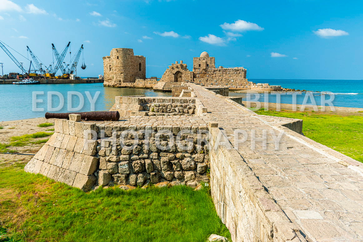 A trip to Sidon Lebanon south